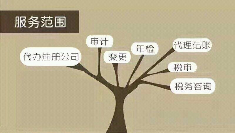 長春代理記賬服務項目詳解 專業、高效、省心